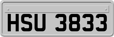 HSU3833