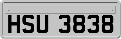 HSU3838