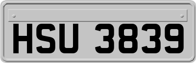 HSU3839