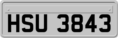 HSU3843
