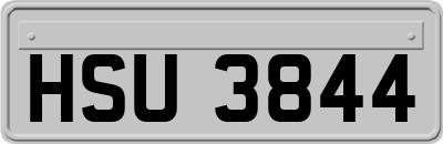 HSU3844