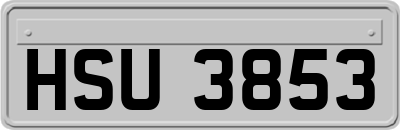 HSU3853