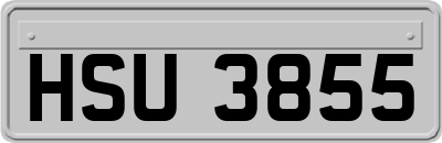 HSU3855