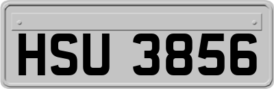 HSU3856
