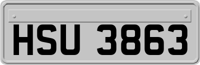 HSU3863