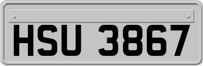HSU3867