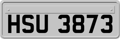 HSU3873