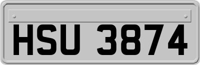 HSU3874