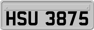 HSU3875