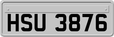 HSU3876