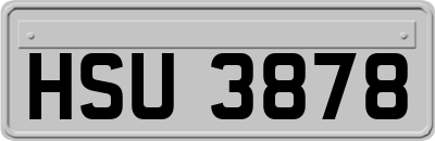 HSU3878