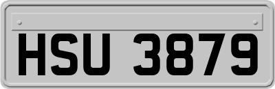 HSU3879