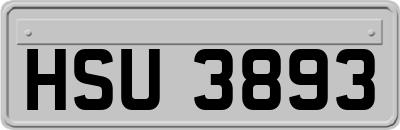 HSU3893