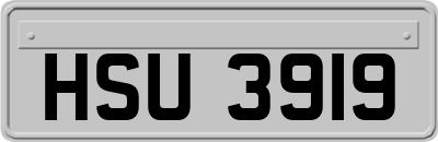 HSU3919