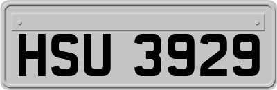 HSU3929