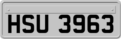 HSU3963