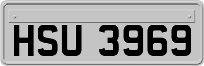 HSU3969