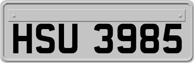 HSU3985
