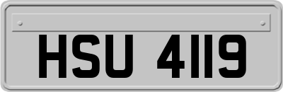 HSU4119