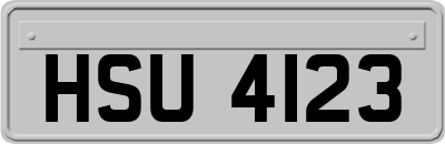 HSU4123