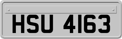 HSU4163