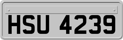 HSU4239