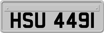 HSU4491