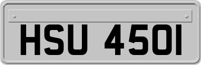 HSU4501
