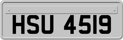 HSU4519