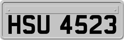 HSU4523