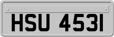 HSU4531