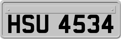HSU4534
