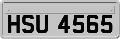 HSU4565
