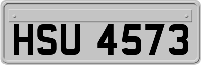 HSU4573