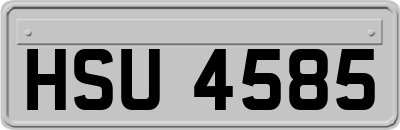 HSU4585