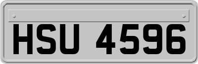 HSU4596