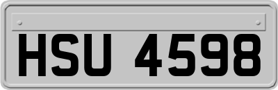 HSU4598