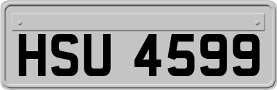 HSU4599