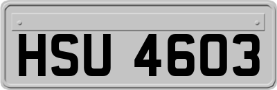 HSU4603