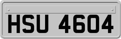 HSU4604