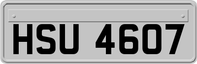 HSU4607