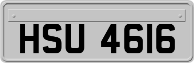HSU4616