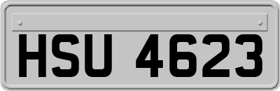 HSU4623