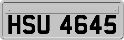 HSU4645
