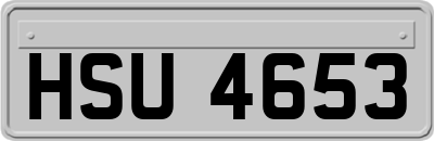 HSU4653