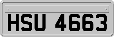 HSU4663