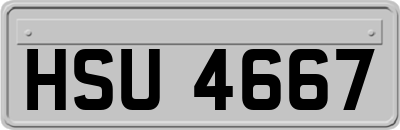 HSU4667