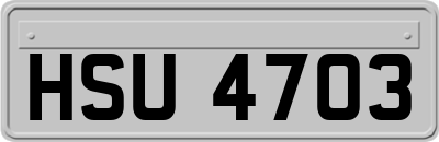 HSU4703
