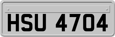 HSU4704