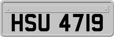 HSU4719
